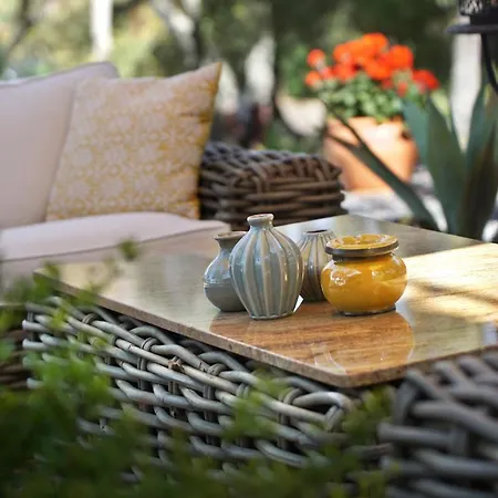 Valle Del Arroyo - - Solo Adultos Bed and breakfast Cortelazor