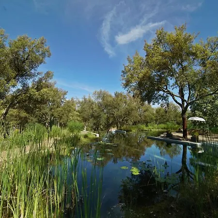 Bed and breakfast Valle Del Arroyo - - Solo Adultos *