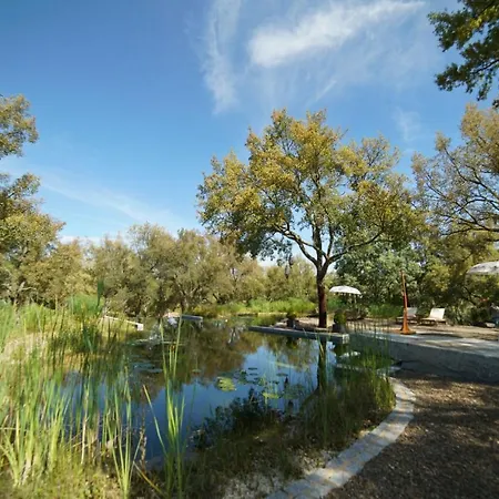 Valle Del Arroyo - - Solo Adultos Cortelazor